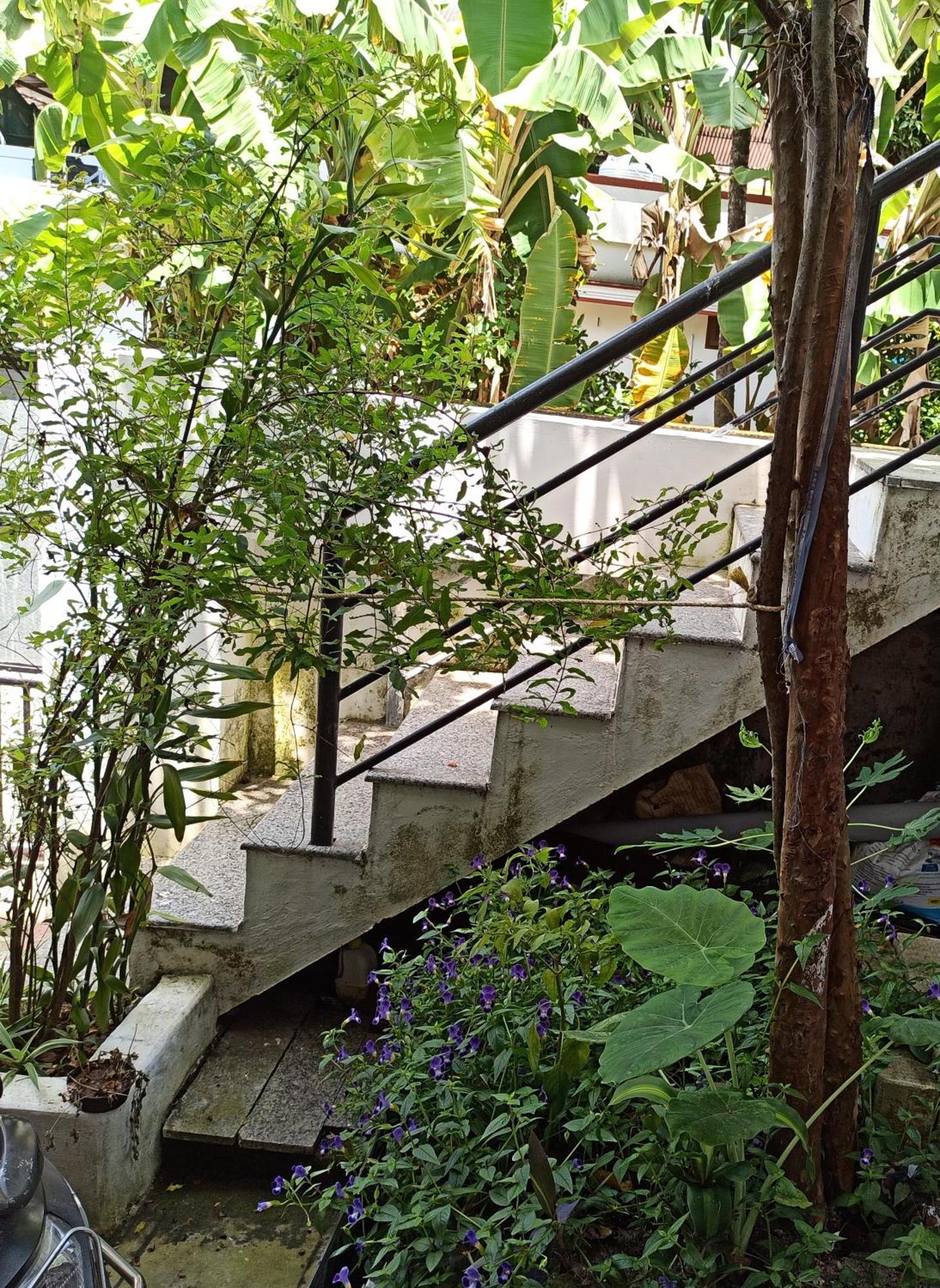 Bethesda Inn Kochi Exterior photo